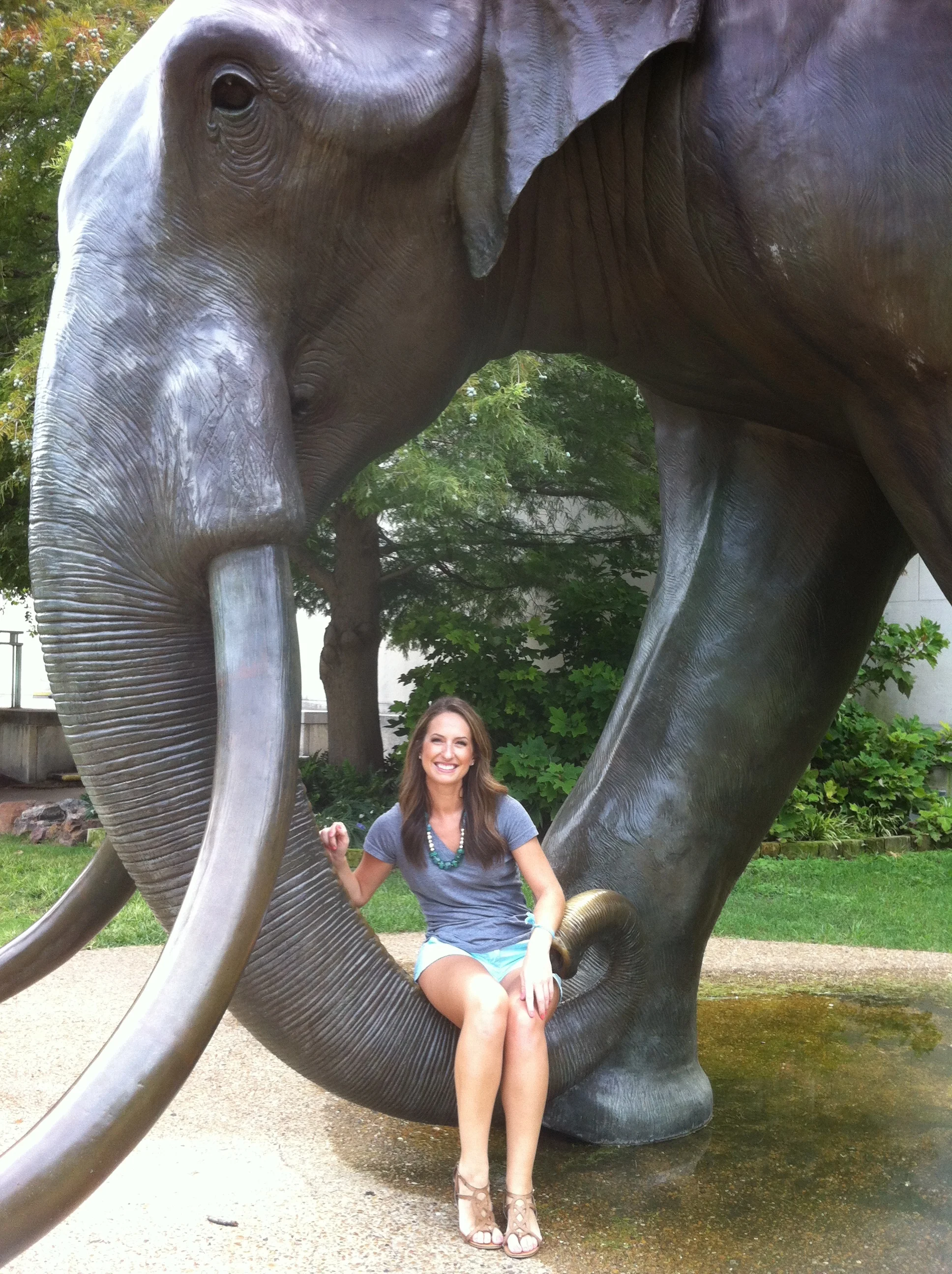 elephant.jpg