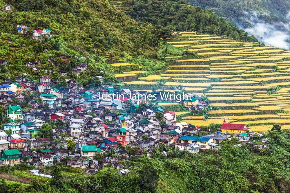 Bayyo Rice Terraces, Bontoc, Mountain Province, Philippines A UNESCO World Heritage Site , Philippine Stock Image # 4039 If you wish to purchase a photography print of this image, or would like to license this image please contact us using the form below. Please kindly include the Image Title and Image Ref # in your message, we will get back to you.
