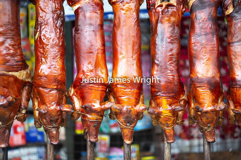 Lechon (Roasted Pigs), Manila, Philippines Philippine Image # 4187 If you wish to purchase a photography print of this image, or would like to license this image please contact us using the form below. Please kindly include the Image Title and Image Ref # in your message, we will get back to you.