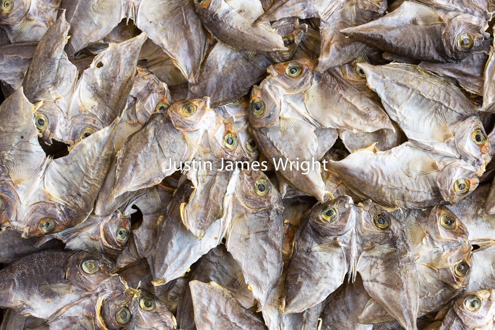 Dried Fish, Makati City, Metro Manila, Philippines. Philippine Photo 5262 If you wish to purchase a photography print of this image, or would like to license this image please contact us using the form below. Please kindly include the Image Title and Image Ref # in your message, we will get back to you.