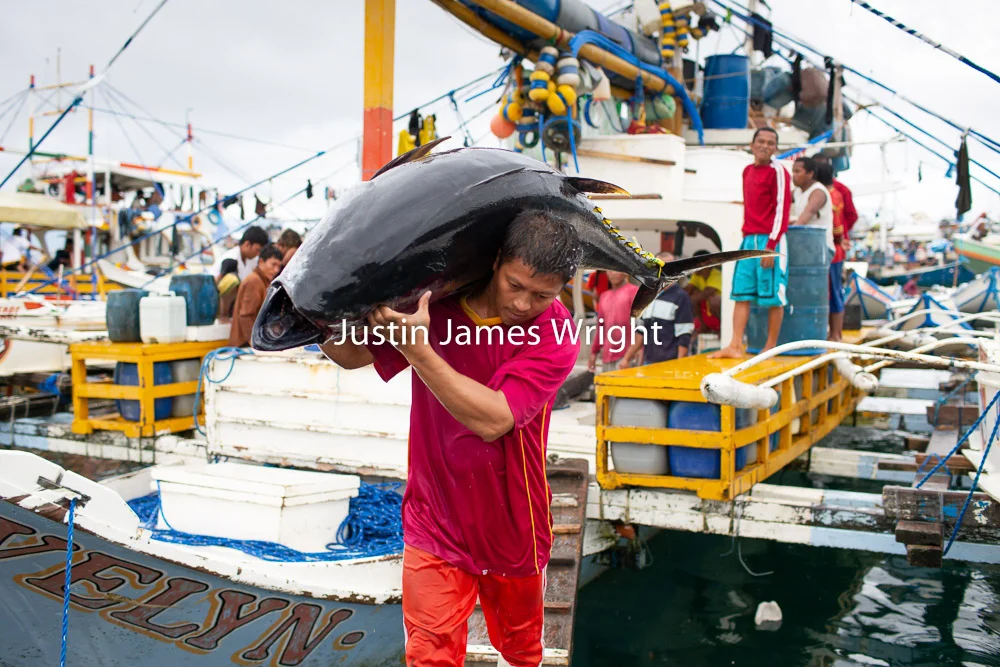 General Santos Fish Port, Mindanao, Philippines Philippine Photo 4214 If you wish to purchase a photography print of this image, or would like to license this image please contact us using the form below. Please kindly include the Image Title and Image Ref # in your message, we will get back to you.