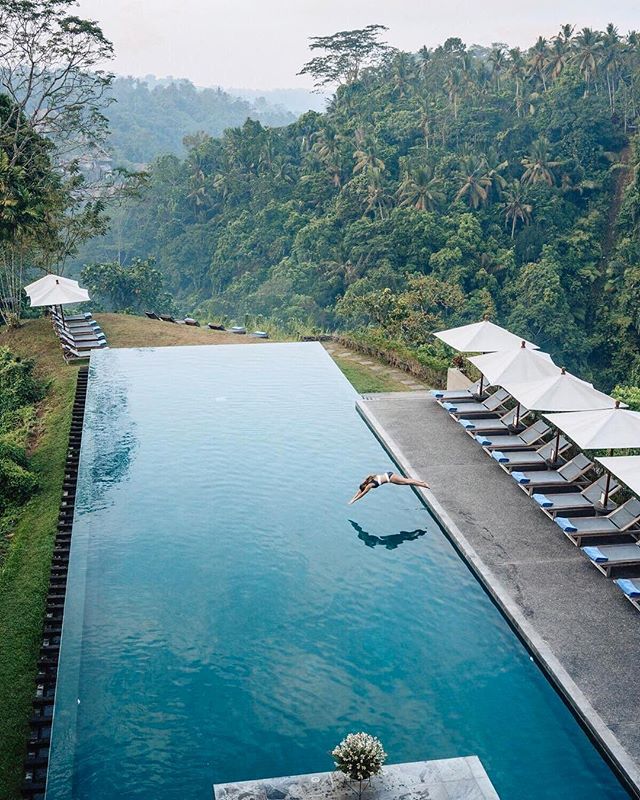 ⠀
When you have the pool all to yourself 🙌😍💦 || Credit: @livelikeitsthewknd @mayaubud⠀
______________________________________⠀
.⠀
.⠀
.⠀
#thebalibible #travel #bali #nature #sunset #trip #lush #scenery #wanderlust #travlr #travlrindonesia #travelgr