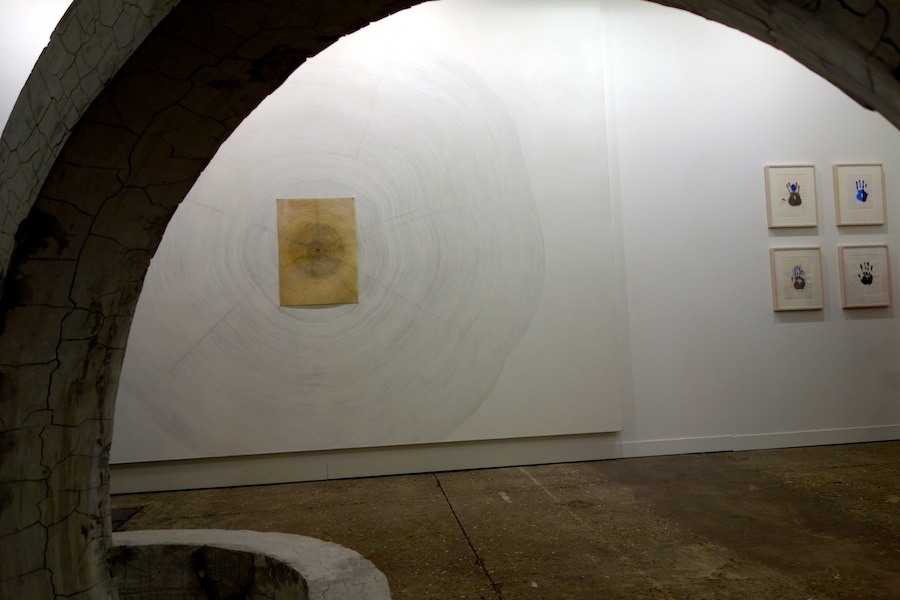 Guiseppe Penone, Propagazione, 2011