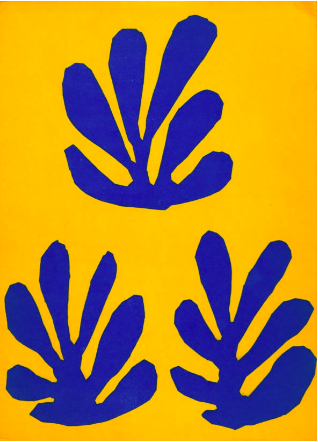 Small print from Matisse at 29 euros
