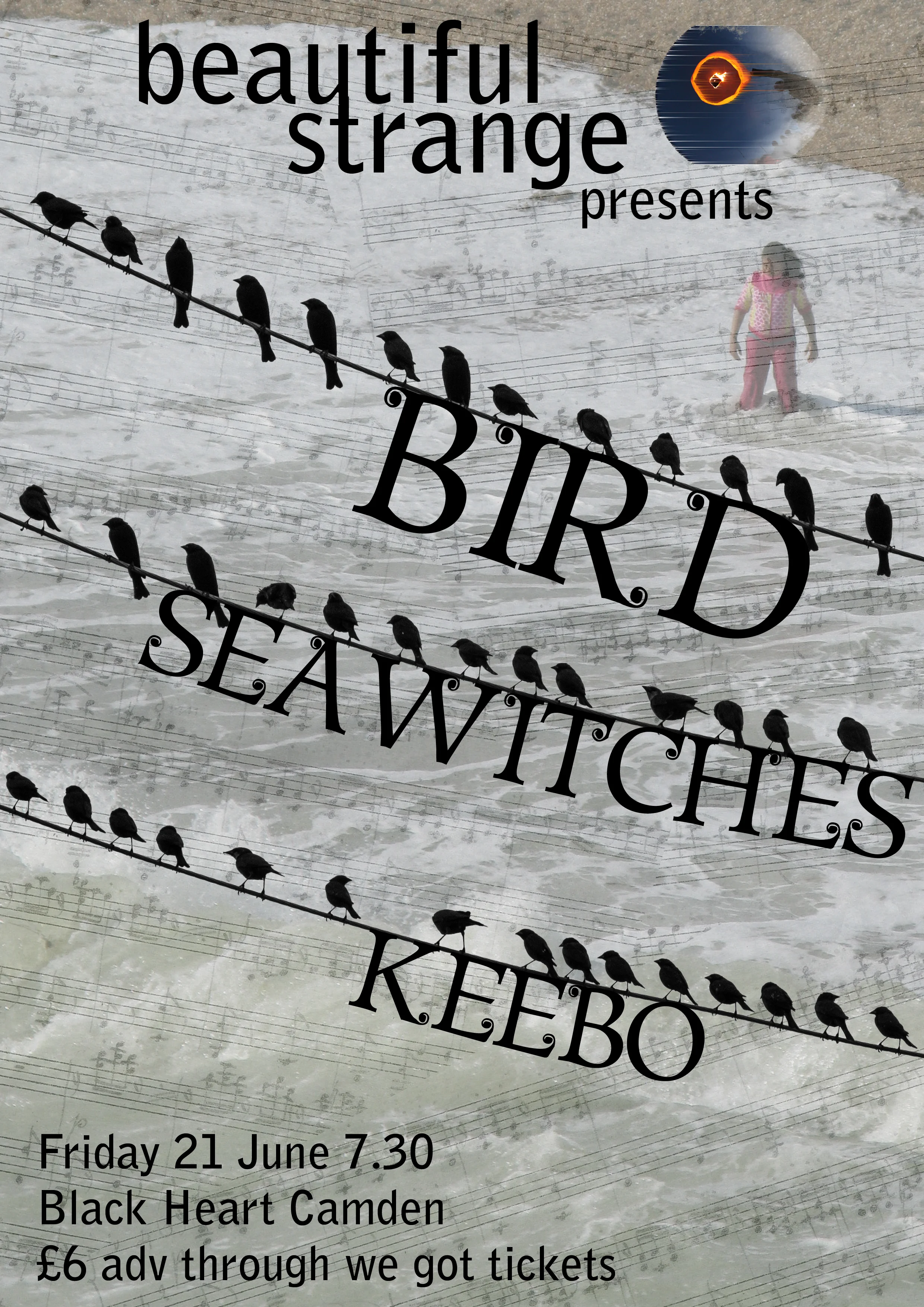poster draft bird 2.jpg
