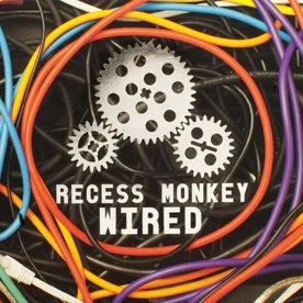 RecessMonkeyWired.jpeg
