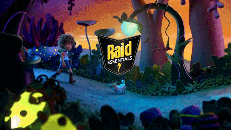 Raid