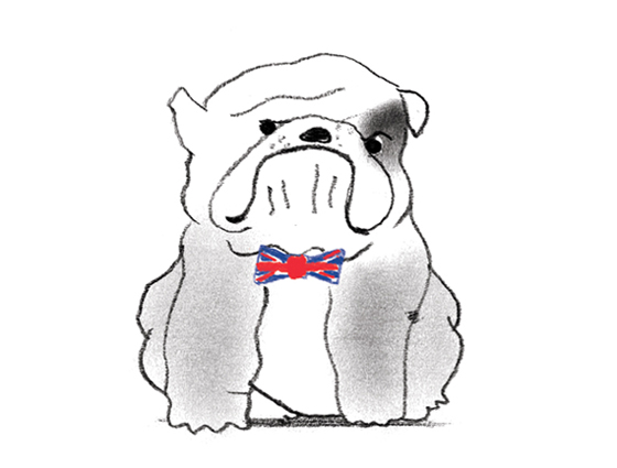 Bruno