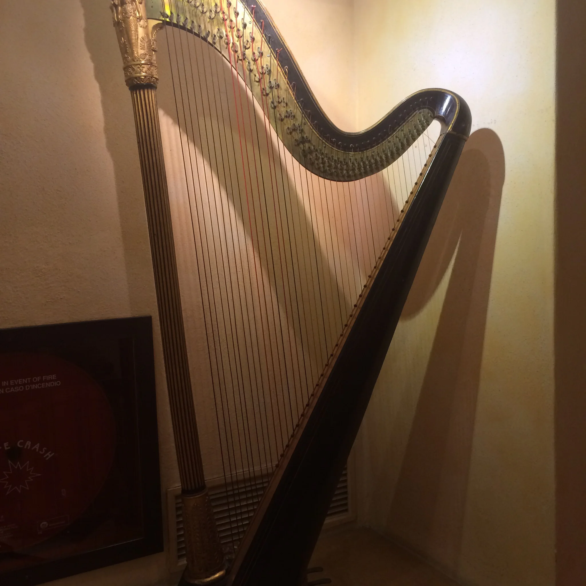 The hotel harp.