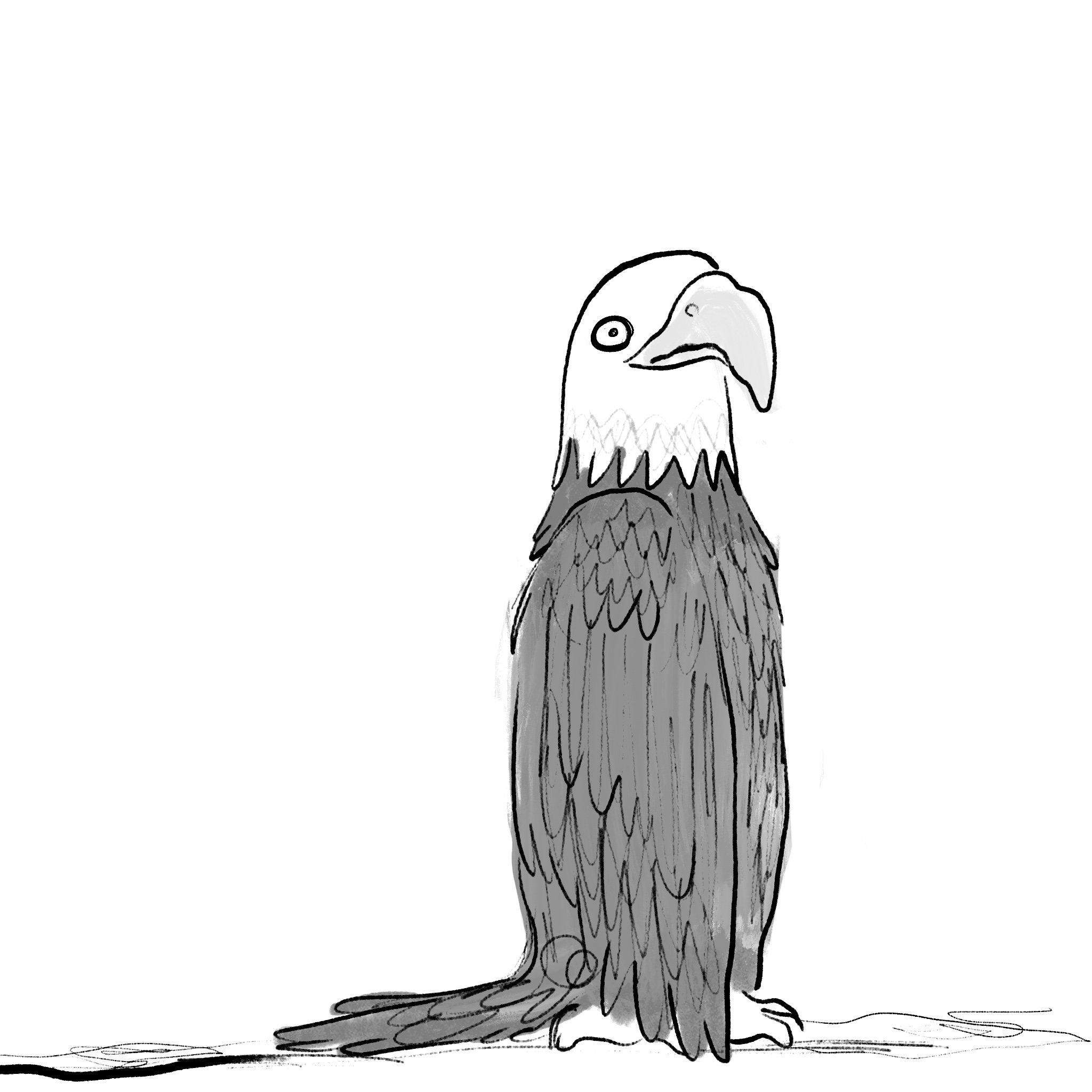 Eagle