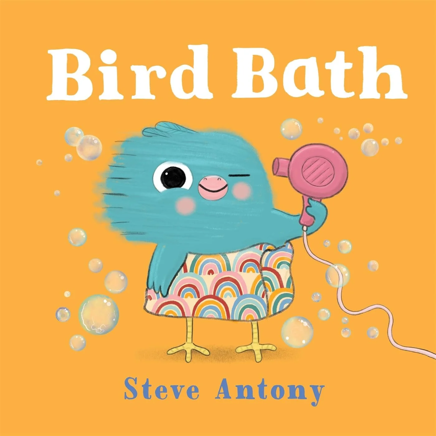 bird bath steve antony .jpeg