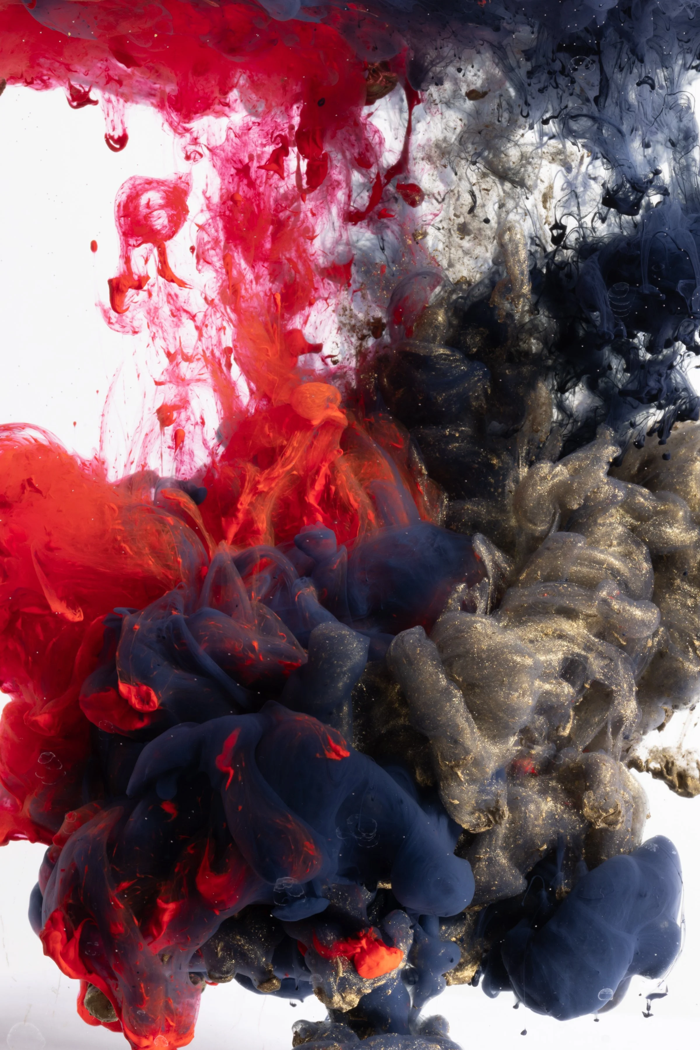 Atlas, Jacklyn - 11.jpg