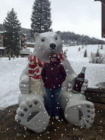 MAB WinterPark-SNOW.gif