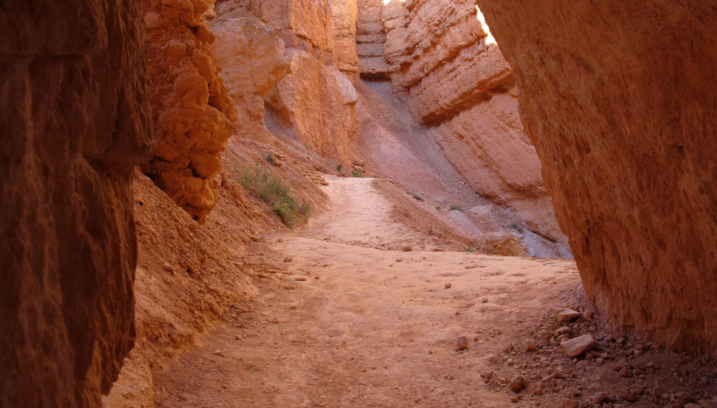 IMG_7062.JPG