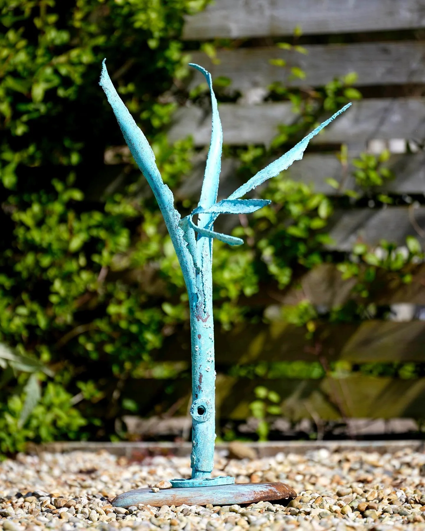 Petrified V, 78cm x 75x70, patinated copper, salvaged in 2022 from SS Eastfield, sunk in 1917 by a U-Boat off the Cornish coast.

#cornishsculpture
 #contemporarysculpture
#christopherchandlersculptor
#rockcornwall #rockbeach

#xerophytegarden 
#xeri