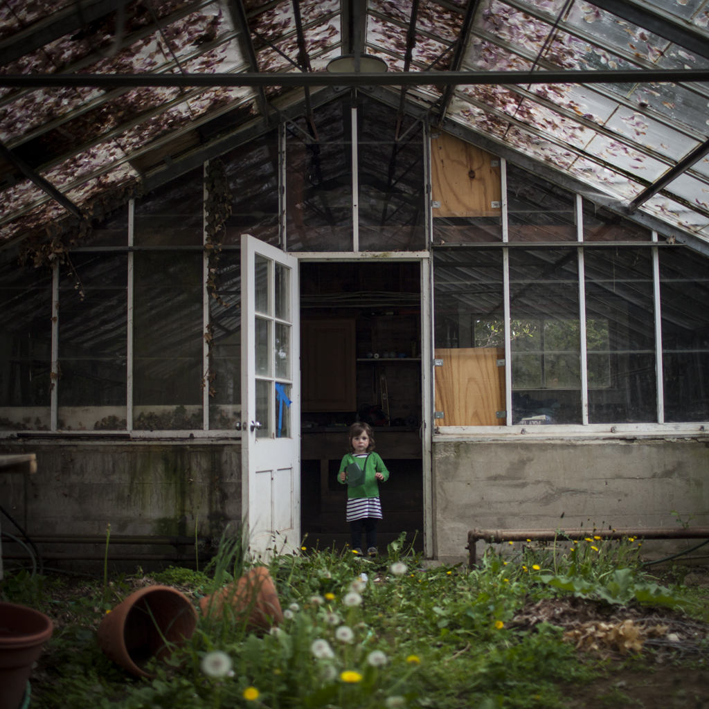 Gardening at Night — Cig Harvey