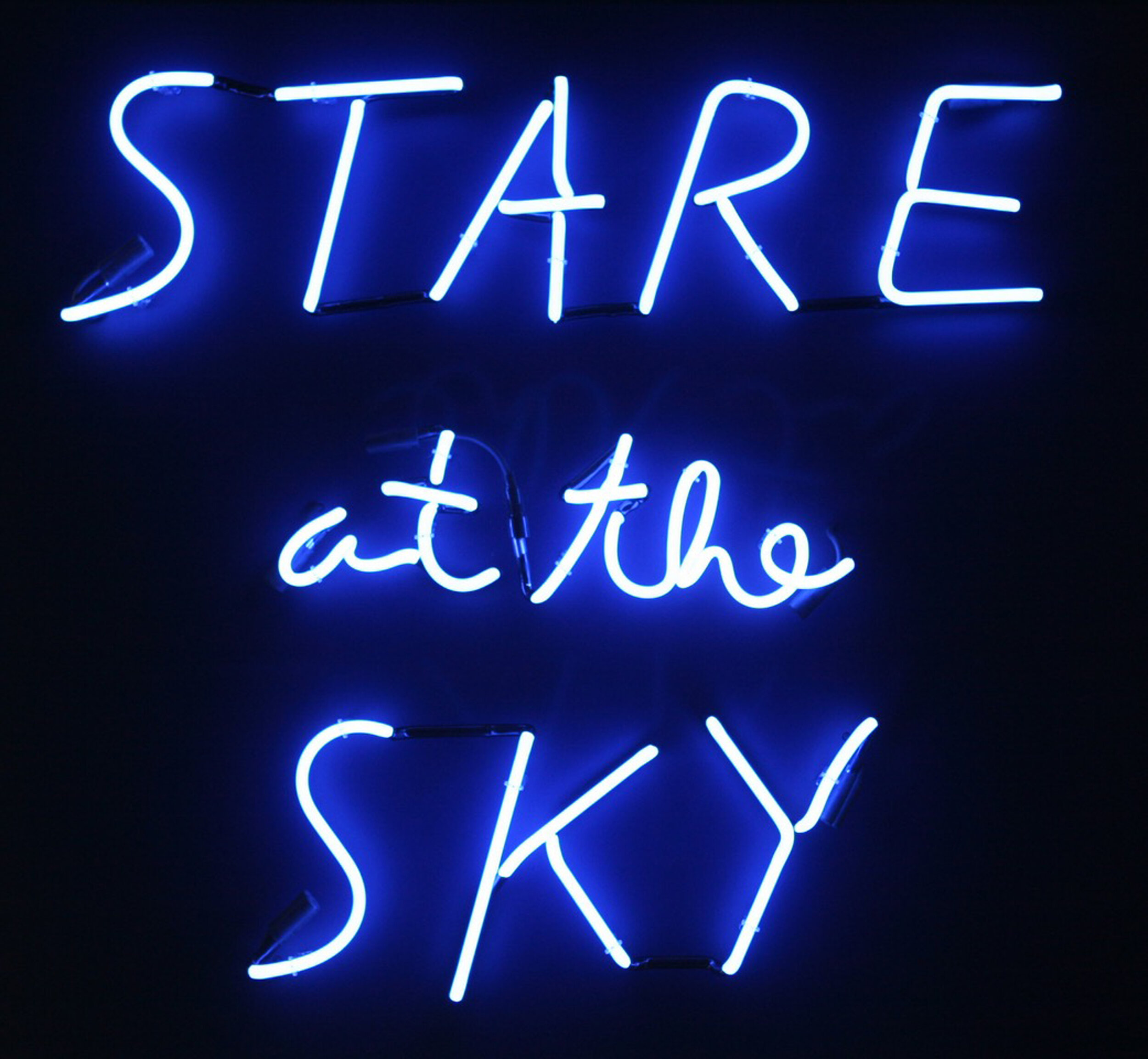 Harvey-Stare at the Sky-neon.jpg