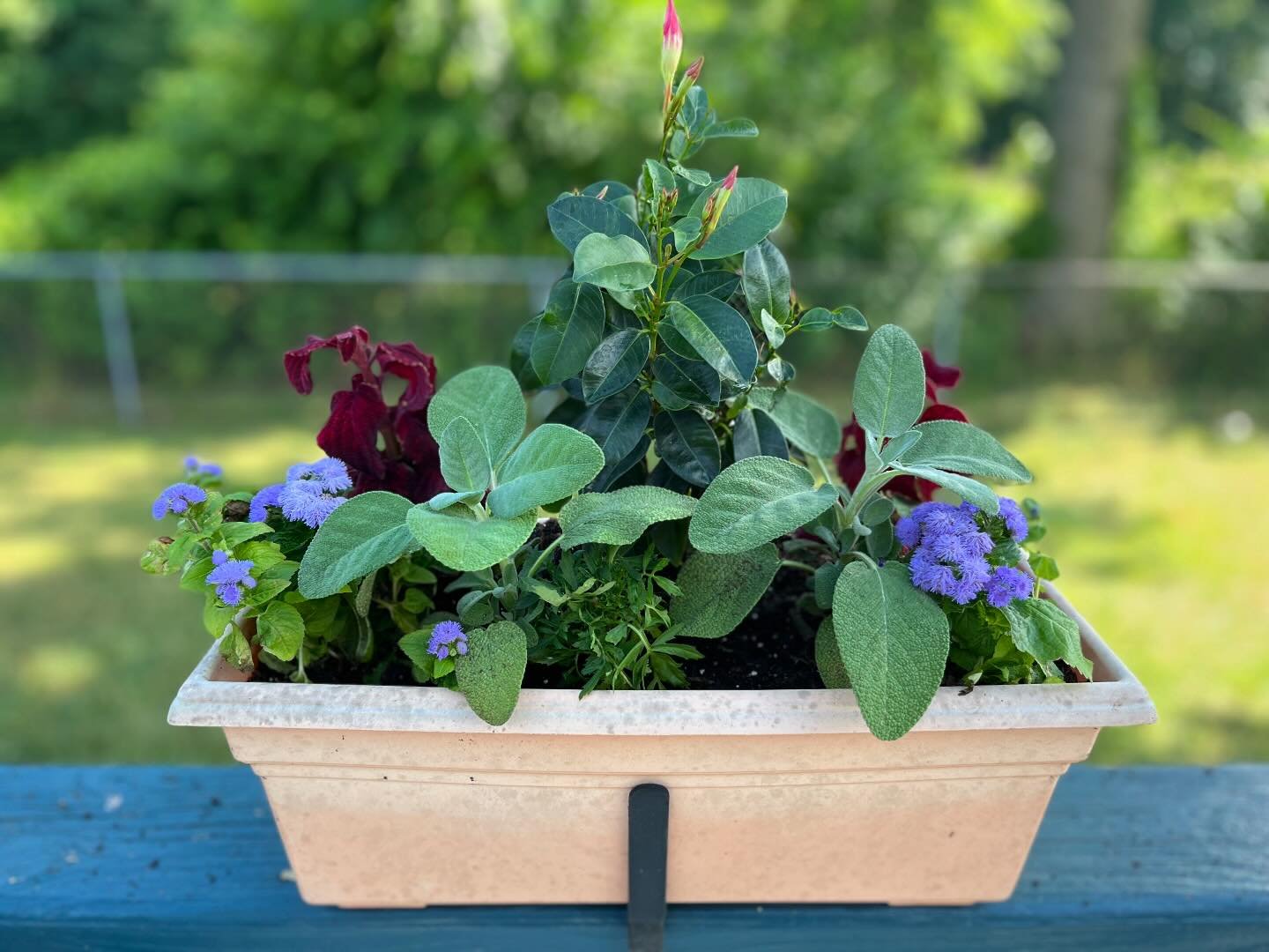Grateful for friends who come and spread magic around my home, like @johnmarkelliott who replanted all of my flower boxes yesterday and played tirelessly with my kids. Feeling surrounded by saints and angels lately.