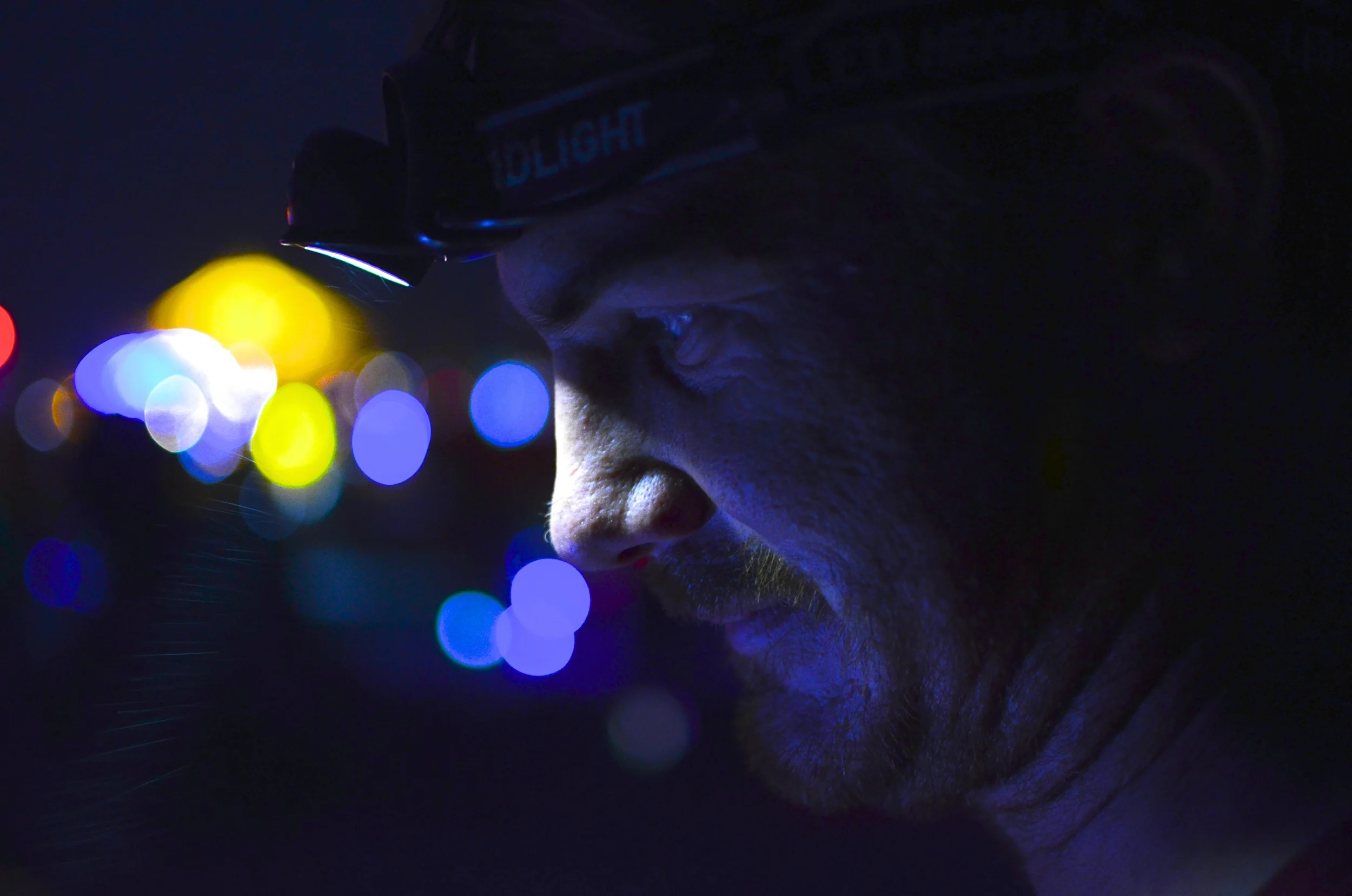 DSC_1995 - Version 2.jpg