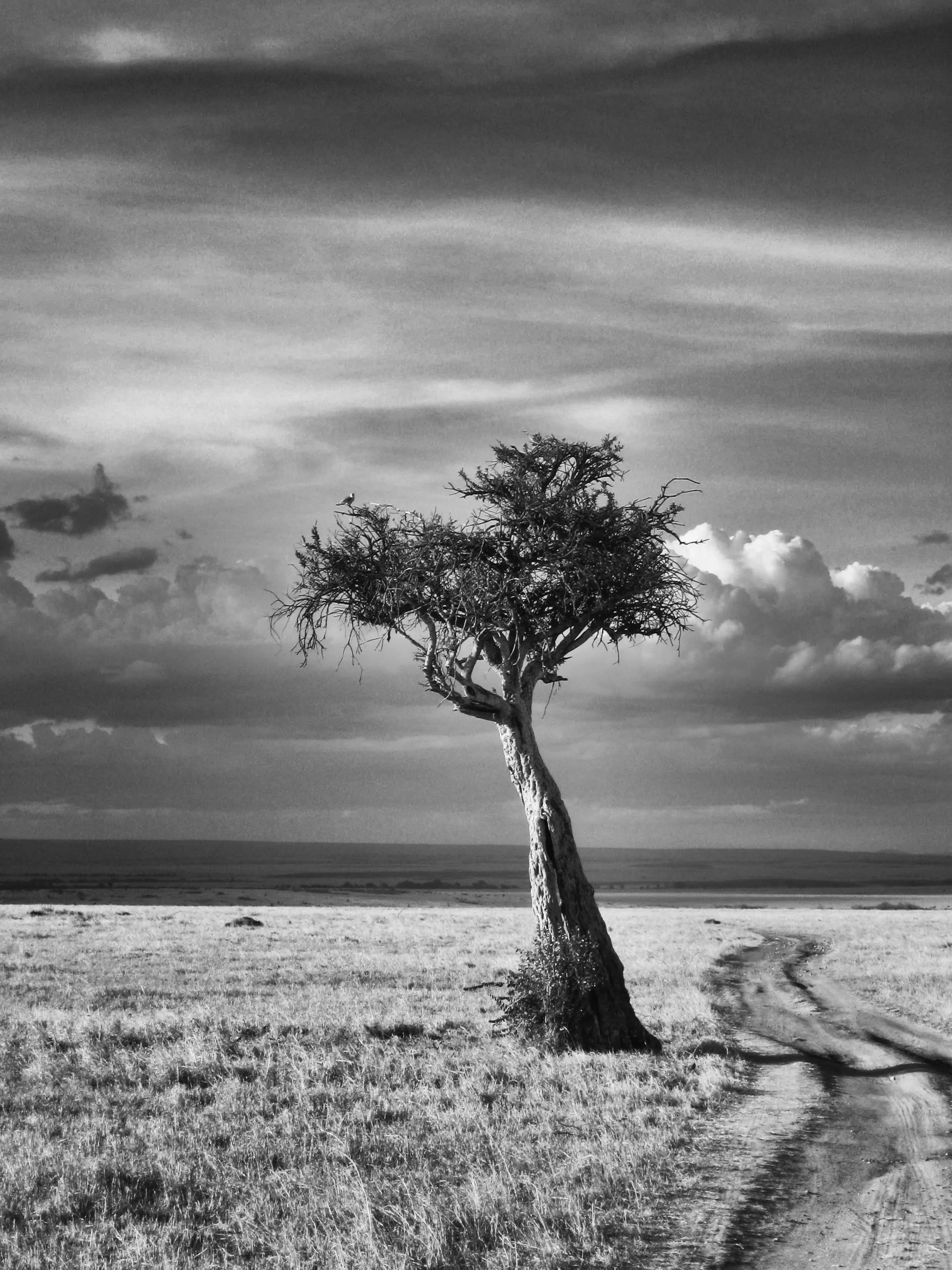 IMG_2049 - Version 2.jpg