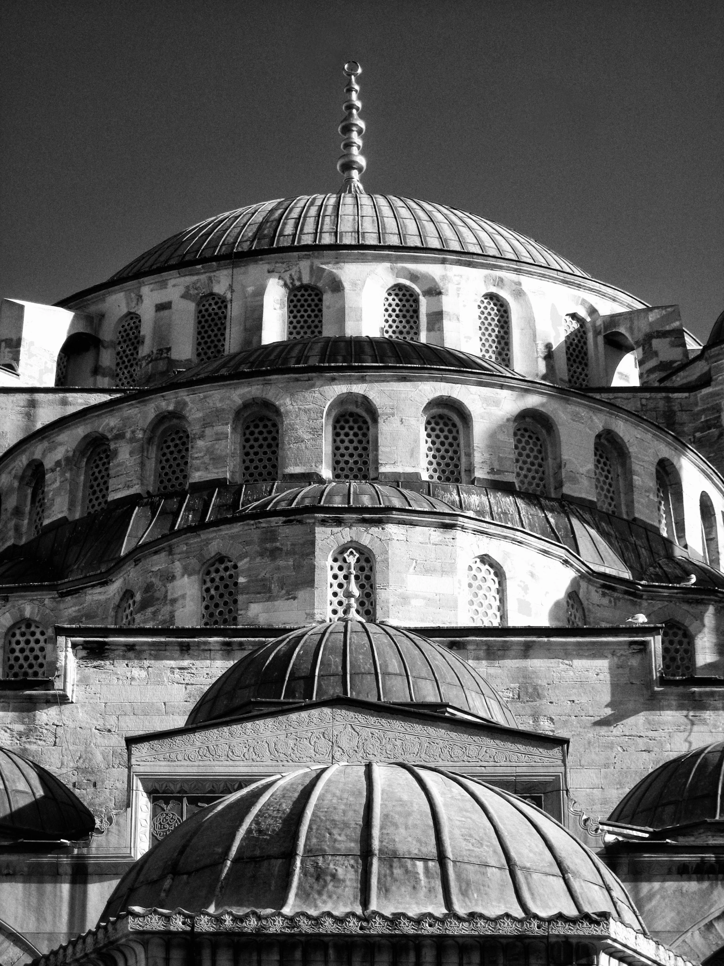 IMG_1416 - Version 2.jpg
