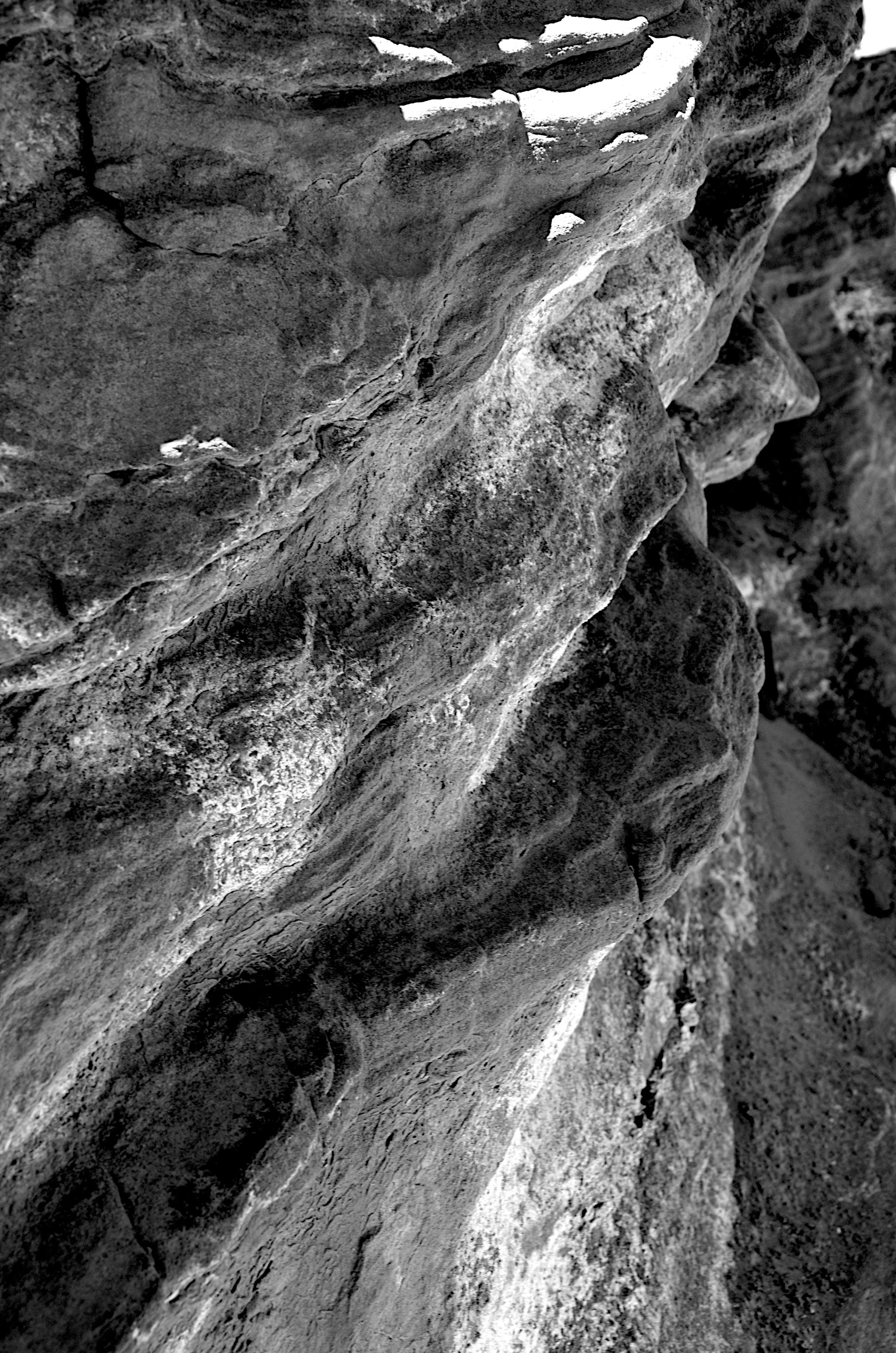 DSC_9367 - Version 2.jpg