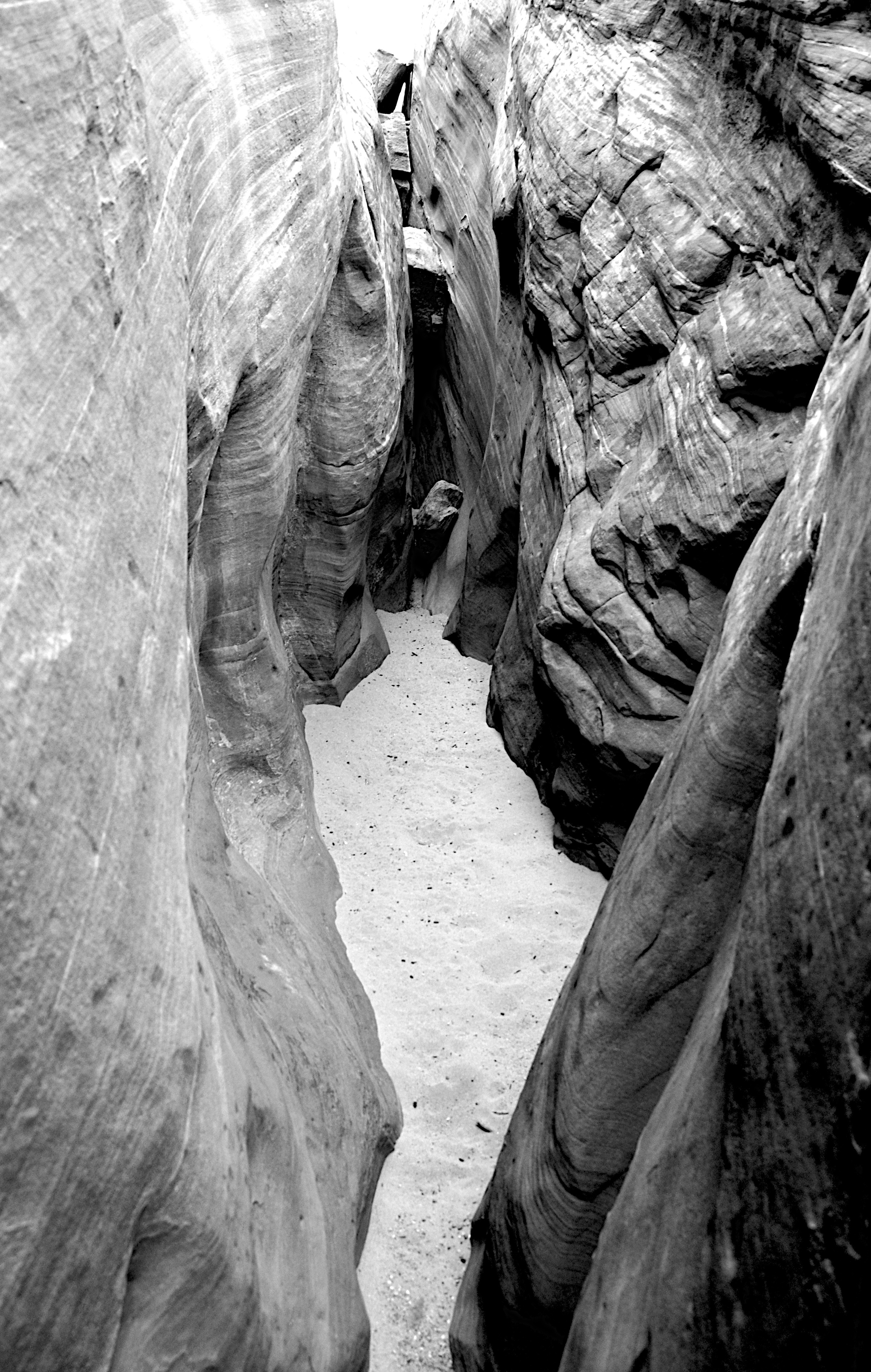 DSC_9395 - Version 2.jpg