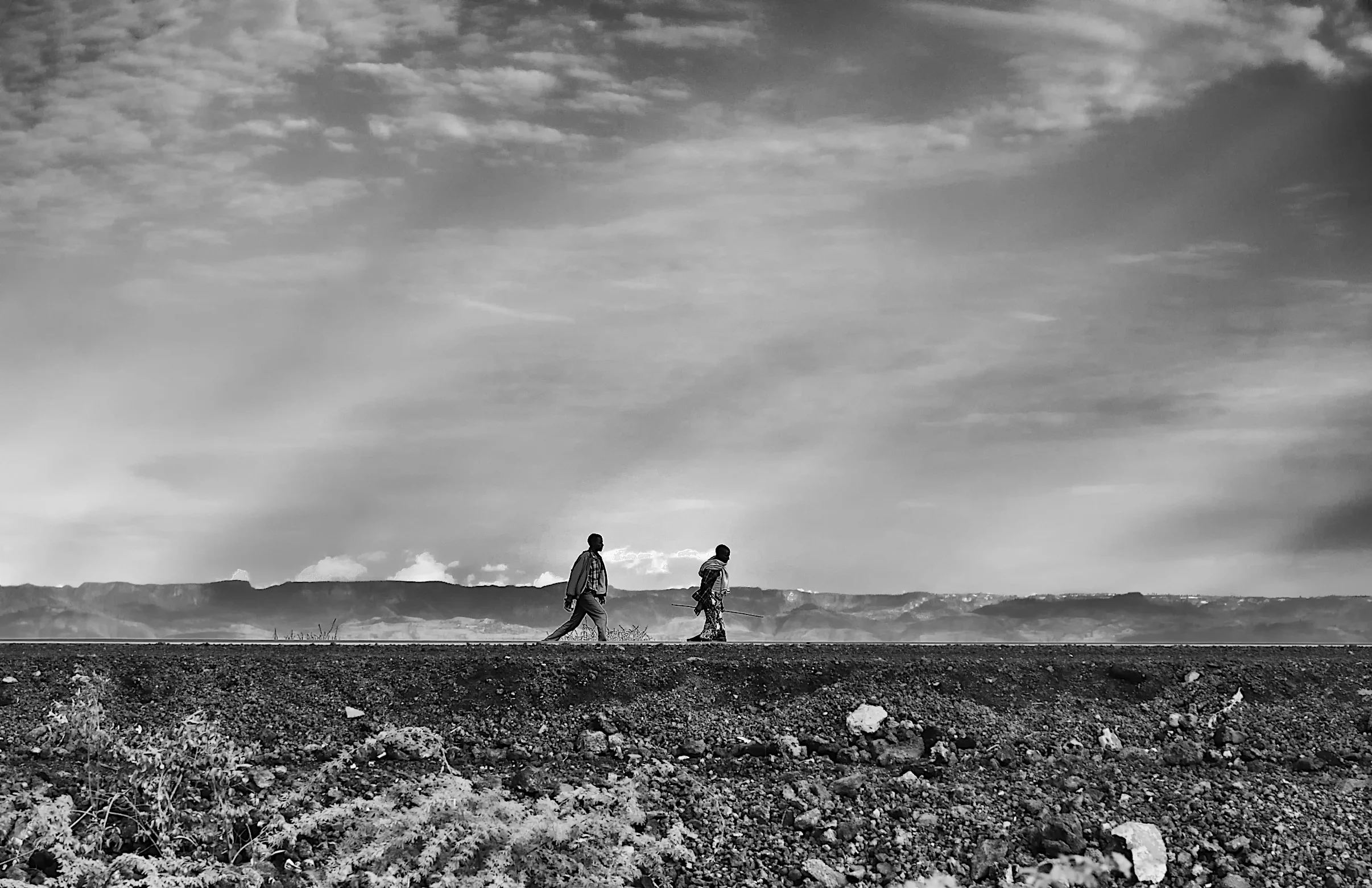    To enlarge, hover your mouse over an image and click the + in the top right corner   