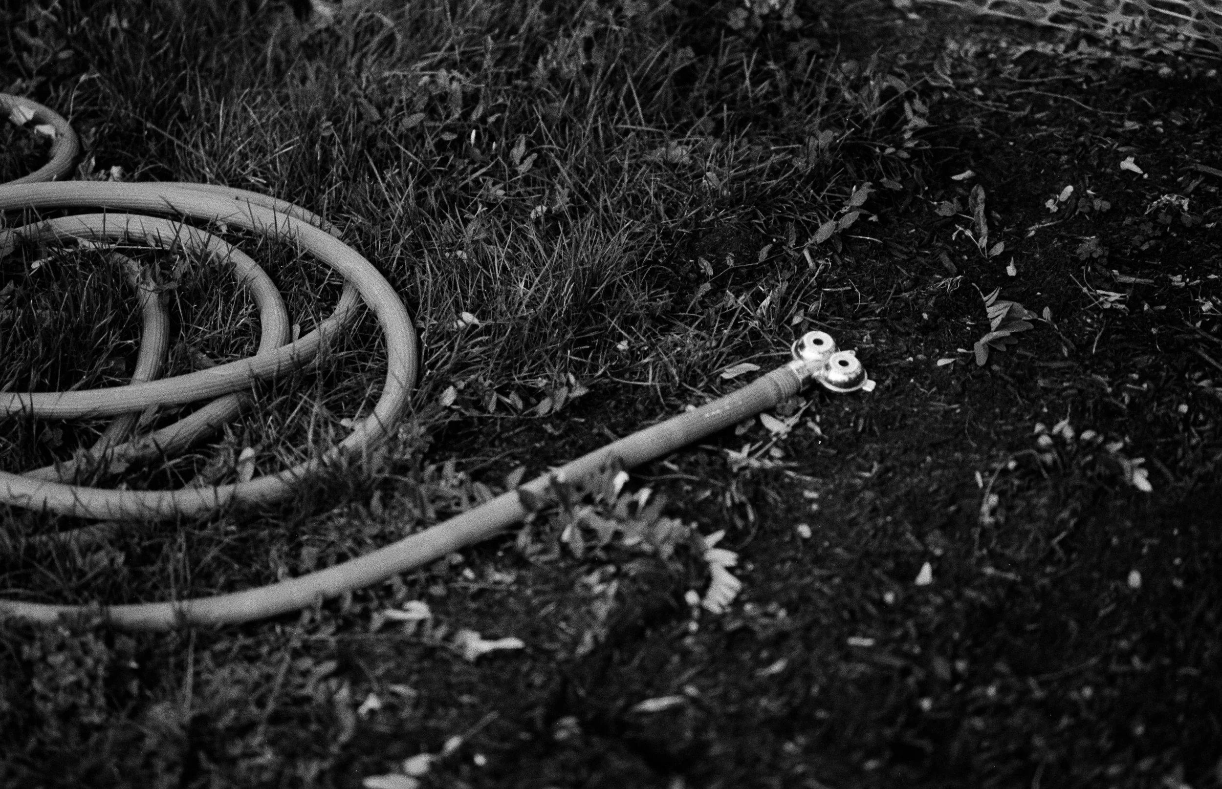 WAITING_26_205.jpeg