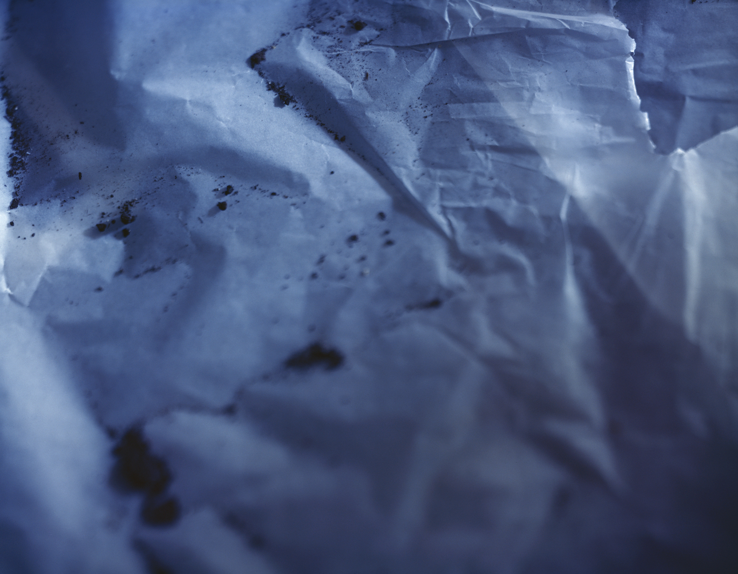 Dirt#2.jpg