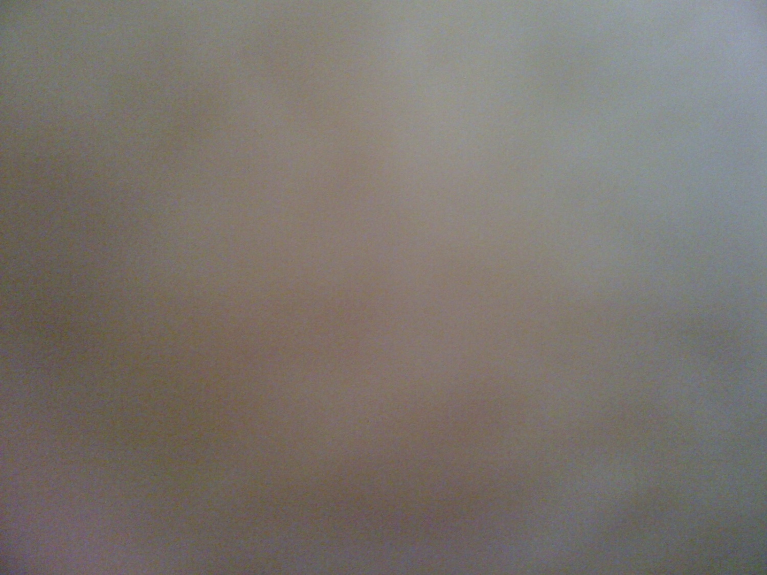 IMG_1484.jpg