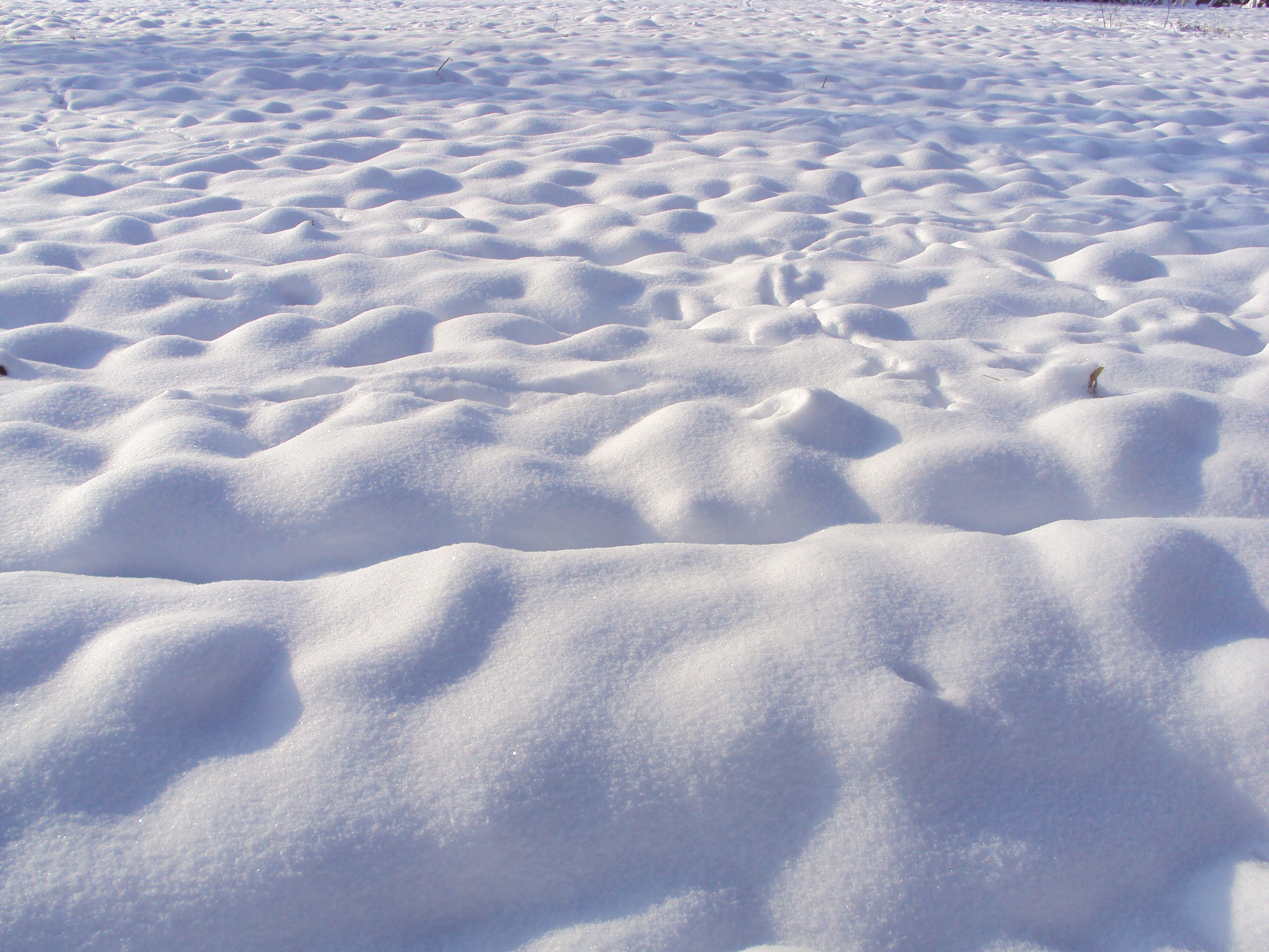 Bulk Snow