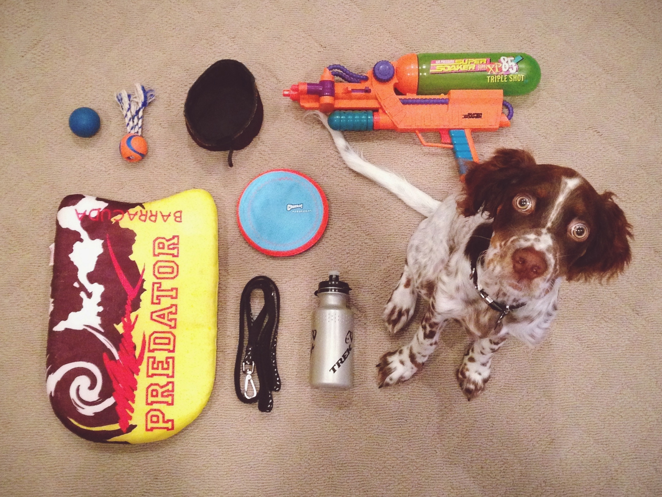 critter packing