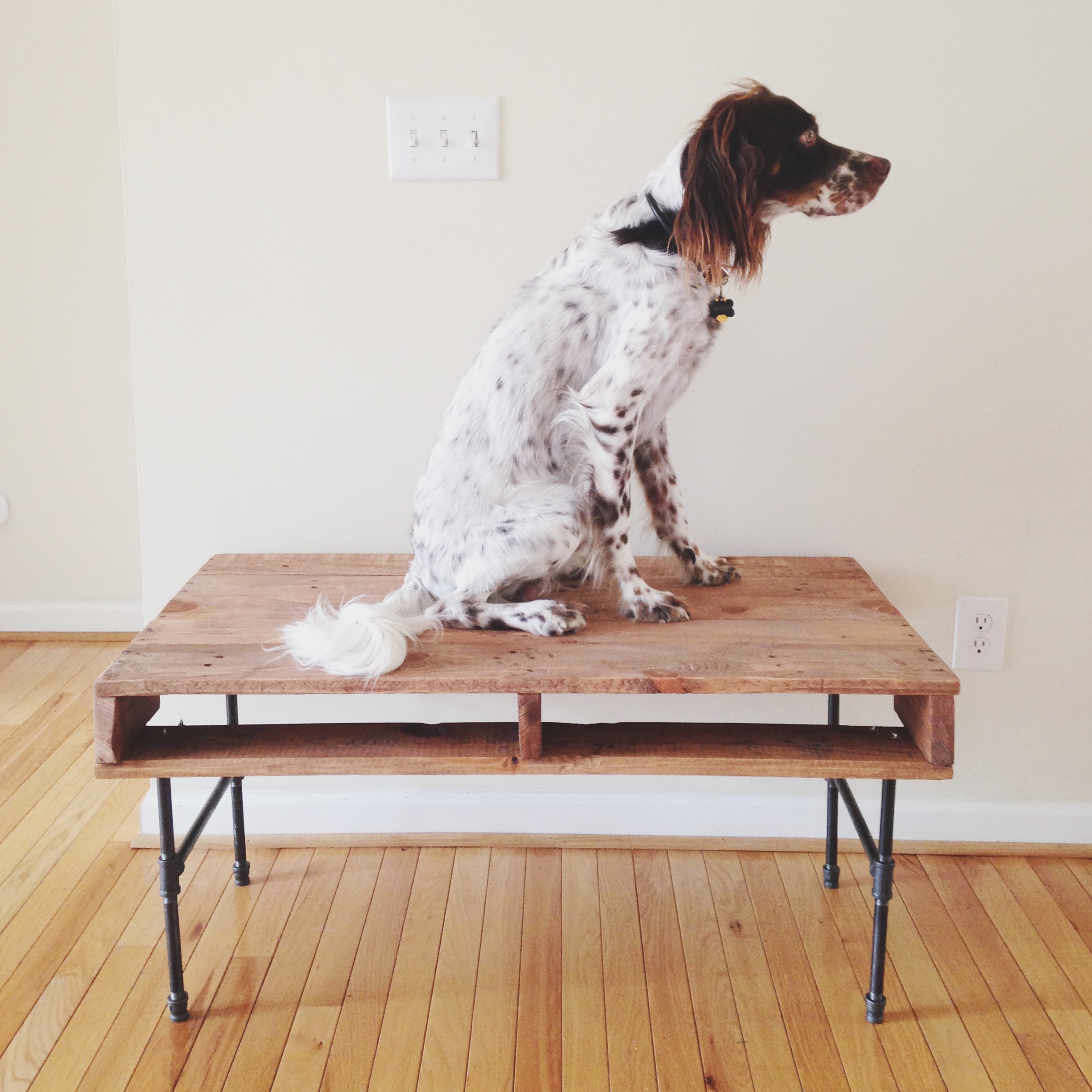 a very sturdy coffee table I built from a recycled pallet