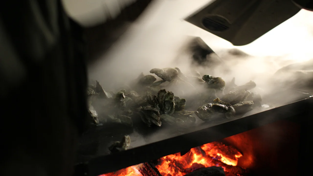 Oyster.jpg