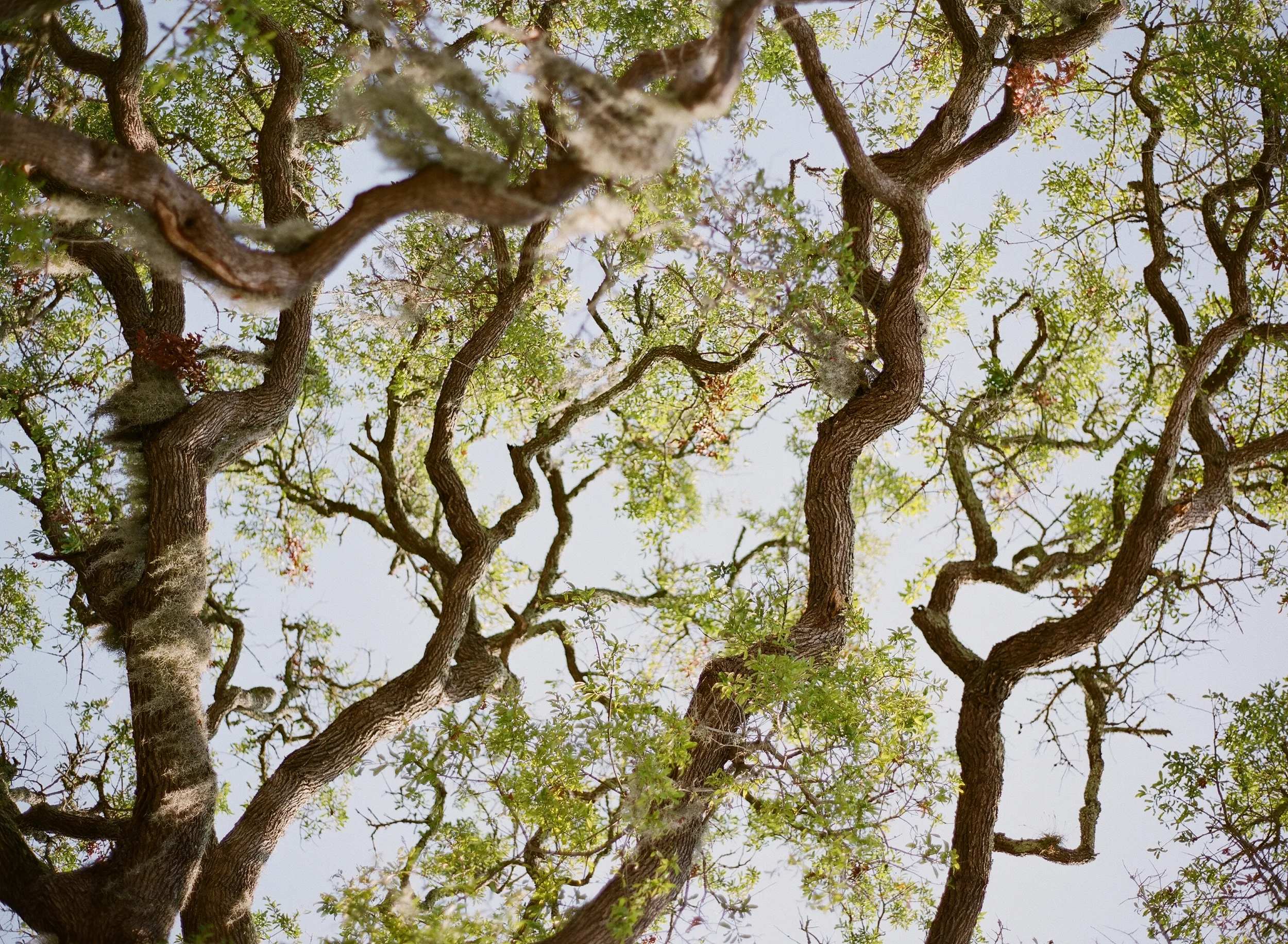 film_photography_122.jpg