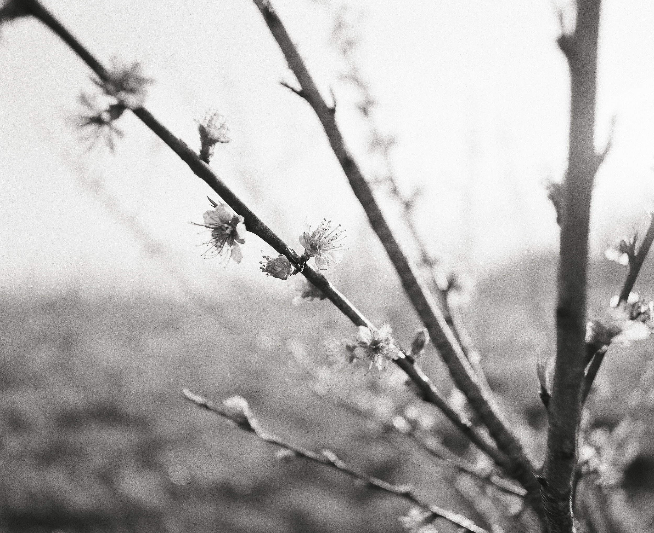 film_photography_124.jpg