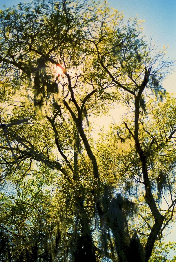 film_photographer_044.jpg