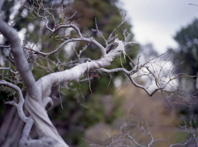 film_photographer_066.jpeg
