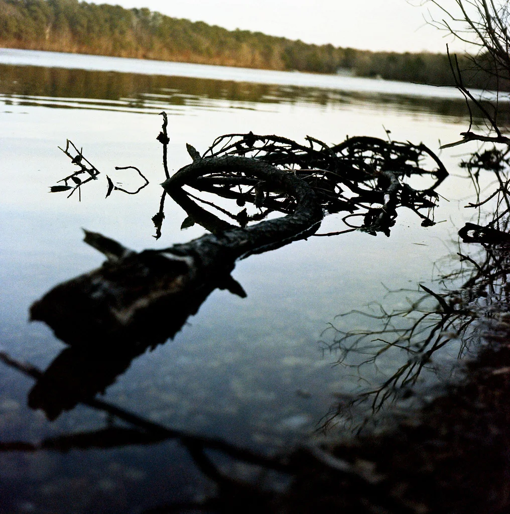 film_photographer_341.jpg