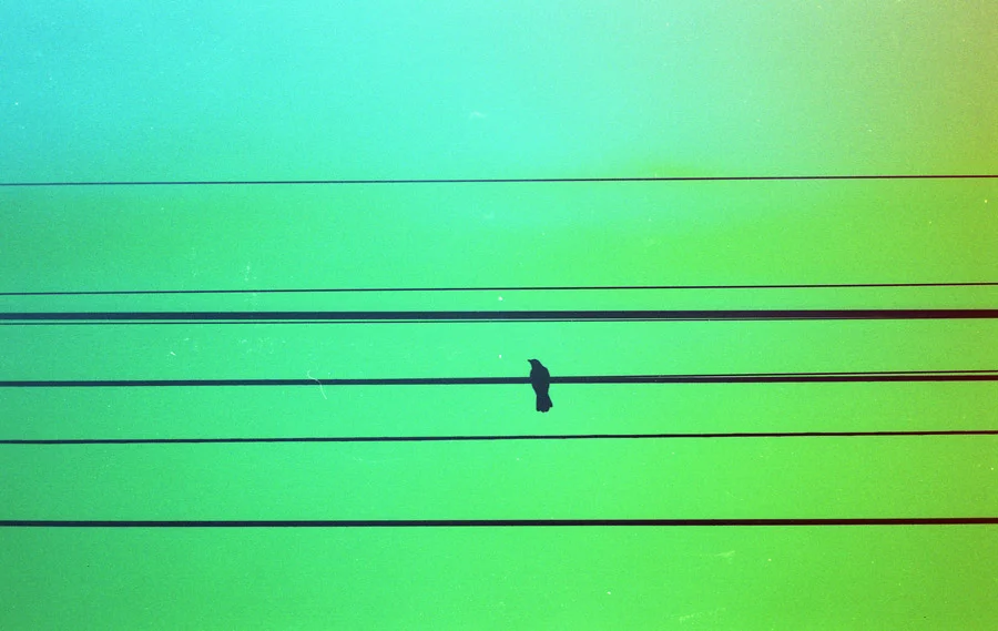 photography_collective_086.jpeg