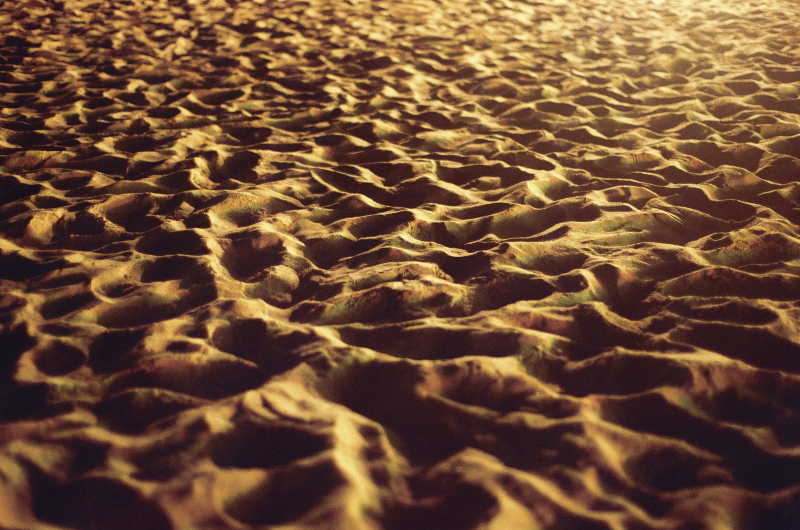 photography_collective_177.JPG