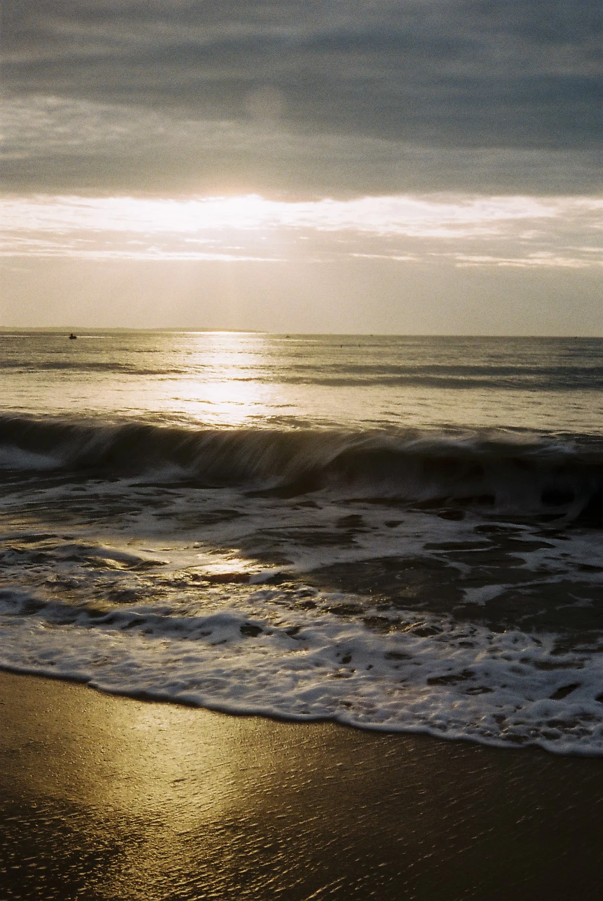 photography_collective_302.jpg