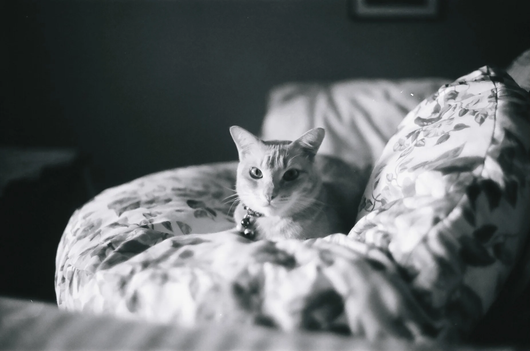 photography_collective_309.jpg