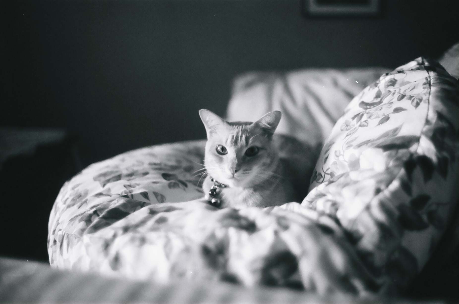 photography_collective_309.jpg