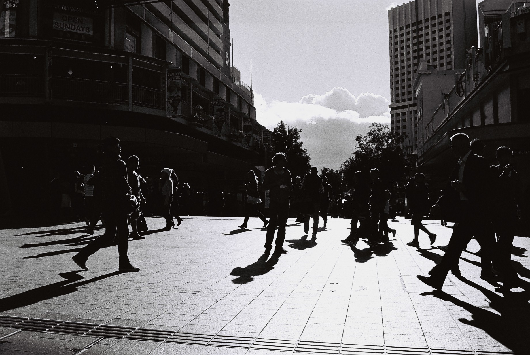photography_collective_314.jpg