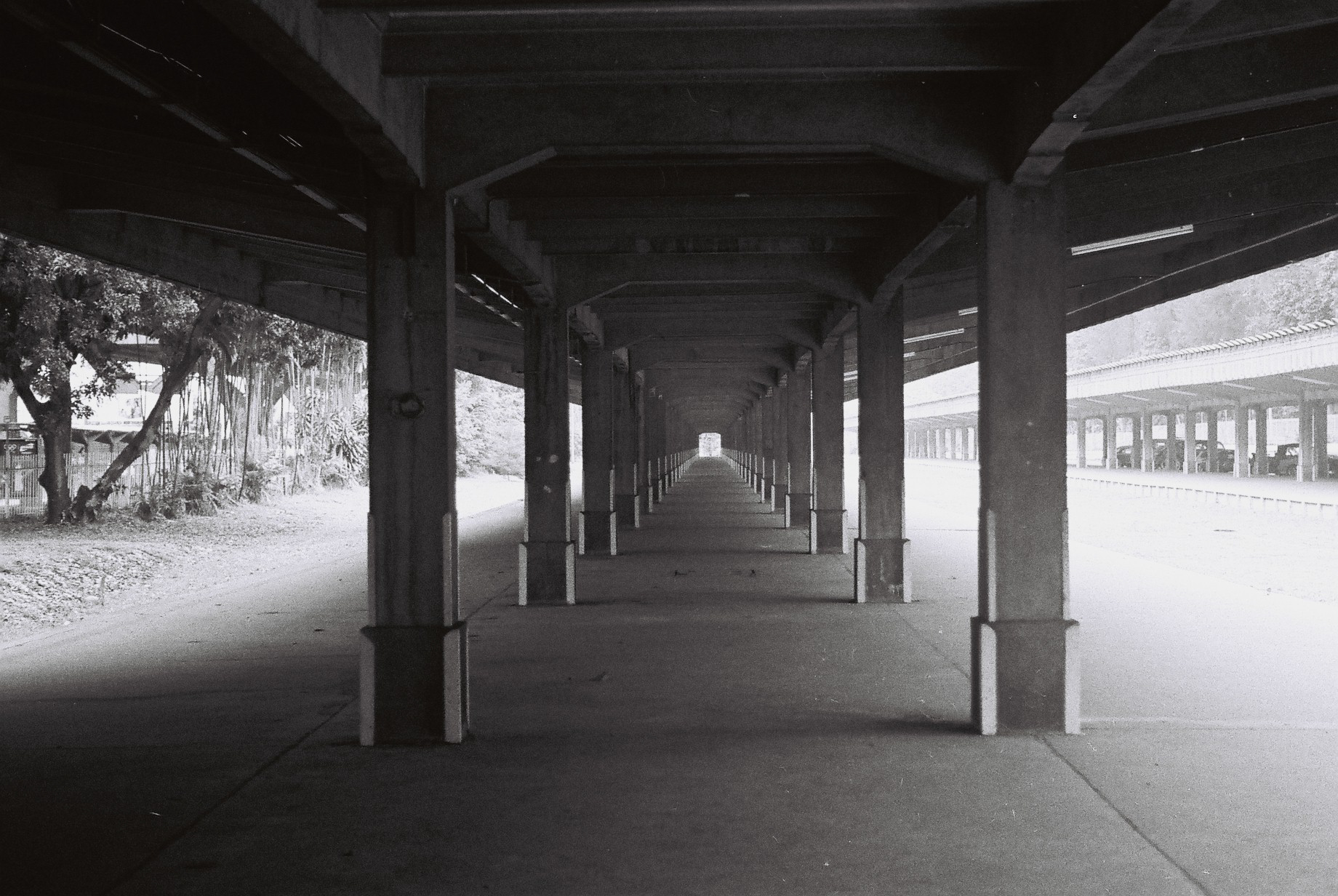 photography_collective_316.jpg