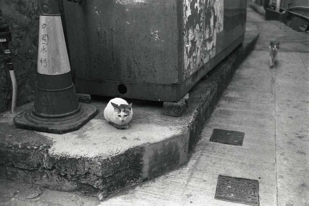 film_photographers_58.jpeg