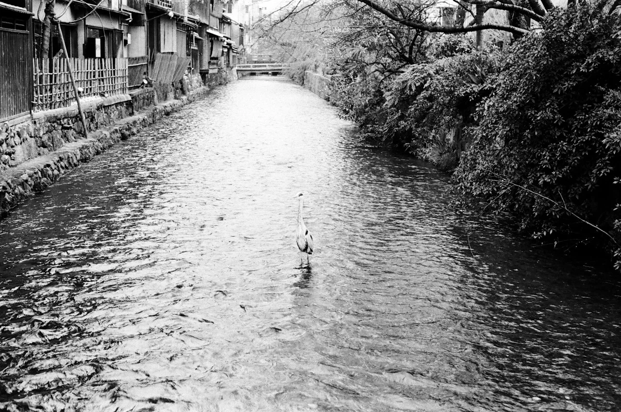 film_photographers_98.jpeg