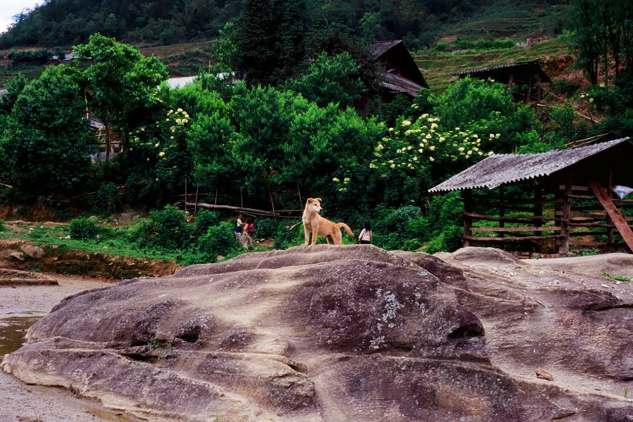 film_photographers_93.jpeg